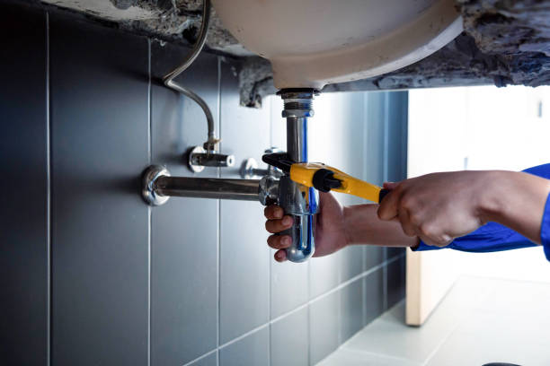 Best Garbage Disposal Repair and Installation  in Carnegie, PA